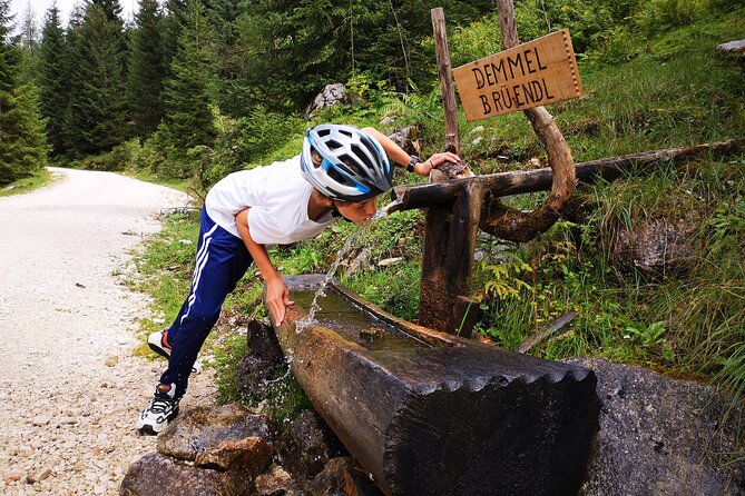 Guided e-bike tour of the alpine pastures in the Salzkammergut - Hallstatt and its 7,000 years of culture