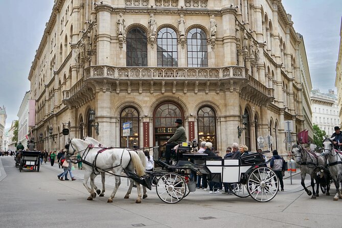 Guided Walking Tour of Vienna City Center Highlights - The Albertina: art and architecture without an interior visit