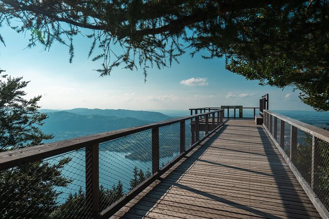 Immersive Private Tour: Hallstatt After the Crowds & Treetop Path - Leaving Vienna in a private Kia Carens