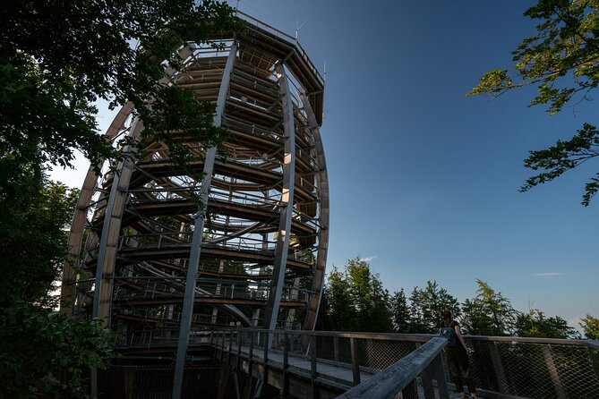Immersive Private Tour: Hallstatt After the Crowds & Treetop Path - Walking the Salzkammergut treetops