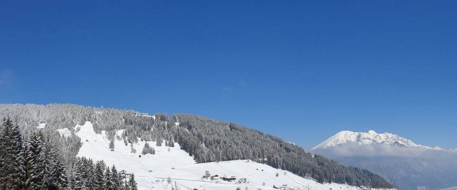Innsbruck: Christmas Tour with a licensed guide - Key points at a glance