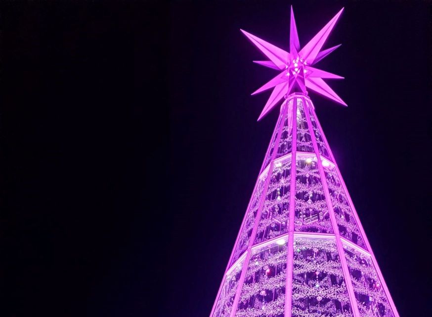 Innsbruck: Christmas Tour with a licensed guide - Maria-Theresien-Straße and a modern finish