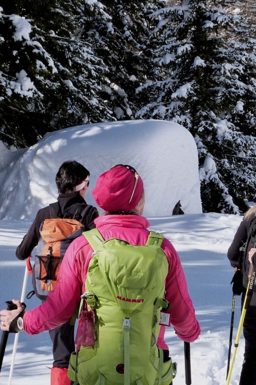 Innsbruck: Priv. Guided Snowy Mountain Hike /Snowshoe´s - Why this private Innsbruck hike feels different