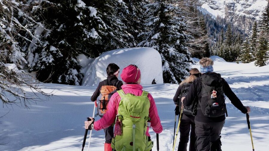 Innsbruck: Priv. Guided Snowy Mountain Hike /Snowshoe´s - Your morning begins with a hotel pickup