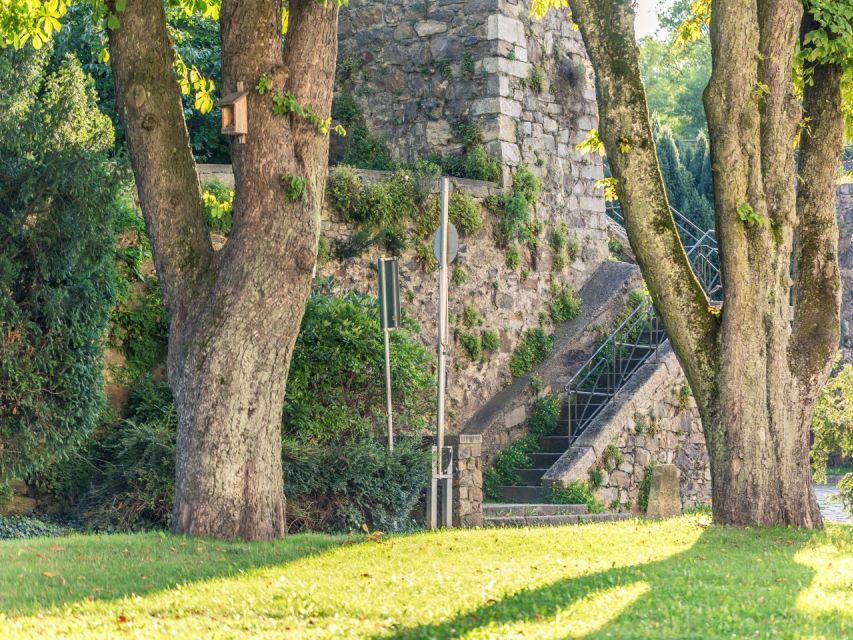Linz Old Town Highlights Walking Tour with Pöstlingbergbahn - The New Cathedral: choose three hours or more