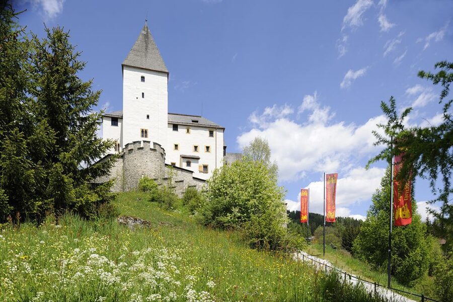 Mauterndorf: Castle Entrance Ticket - Entering the former toll station