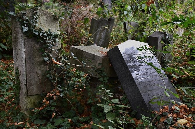 Mobile puzzle rally tour at the Vienna Central Cemetery - Key points at a glance