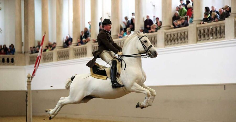 Performance Of The Lipizzans At Spanish Riding School - Why the Spanish Riding School feels different