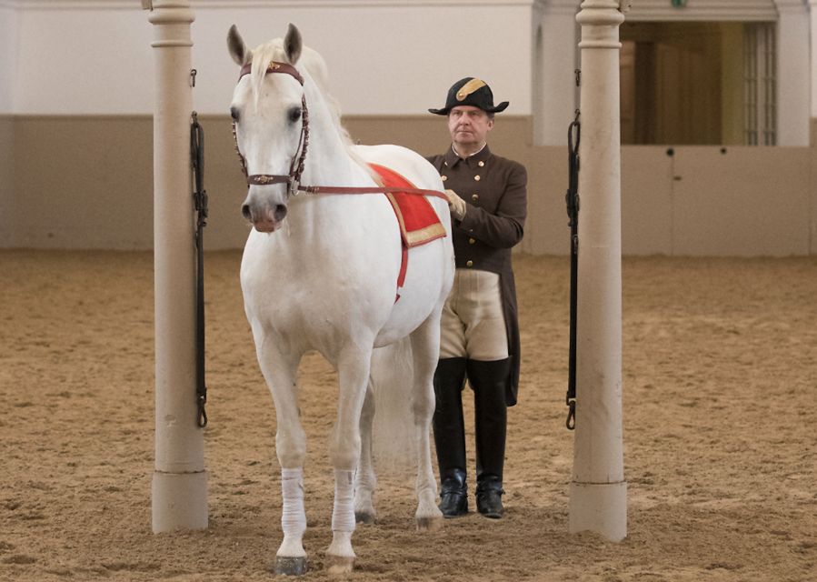 Performance Of The Lipizzans At Spanish Riding School - The sound and lighting are part of the experience