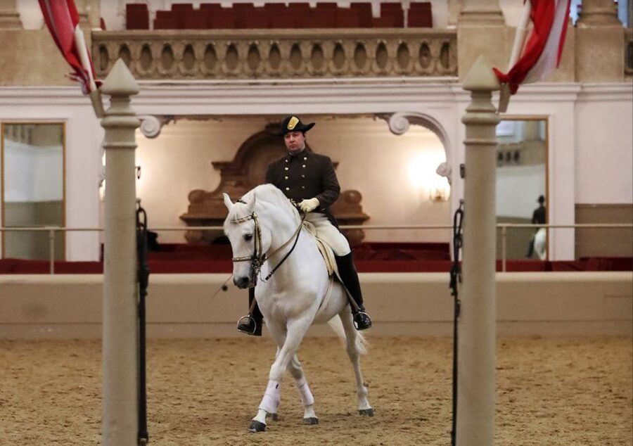 Performance Of The Lipizzans At Spanish Riding School - What the ticket includes, and what it does not