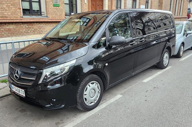 Private airport transfer in Vienna for up to 8 people in minibus - Hotel, apartment, and private-address pickup