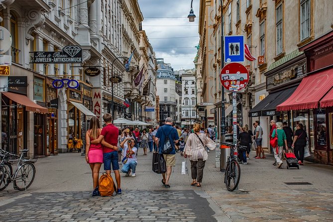 Private city tour of Vienna with driver and guide with hotel pick up - Your hotel pickup and the value of a private car