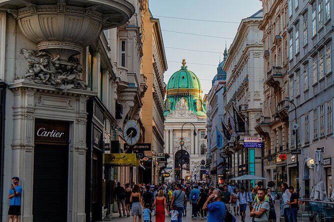 Private Day Tour from Prague to Vienna, English Speaking Driver - Who will appreciate this private day trip