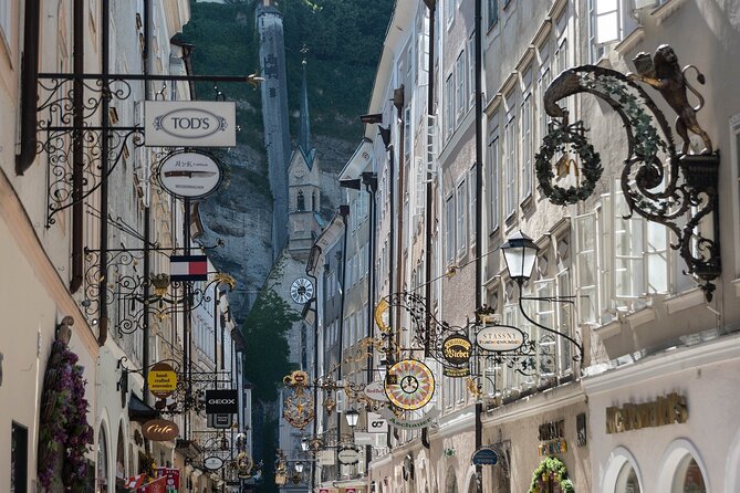 Private Day Tour to Salzburg Hallstatt and Melk from Vienna - Driver service versus a true guided tour