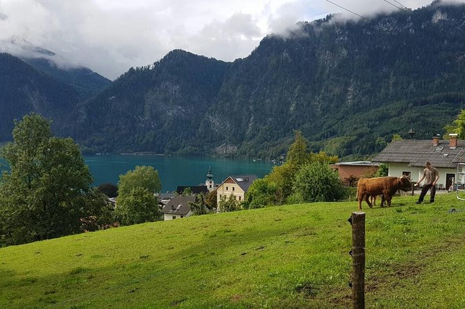 Private Day Trip from Vienna to Hallstatt - Is $1,564.14 good value for your group?