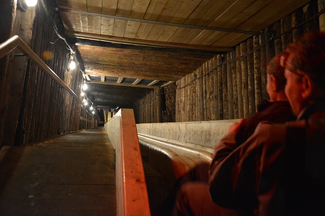 Private Day Trip to Hallstat & Salt Mine from Vienna with a local - The salt mine above the village