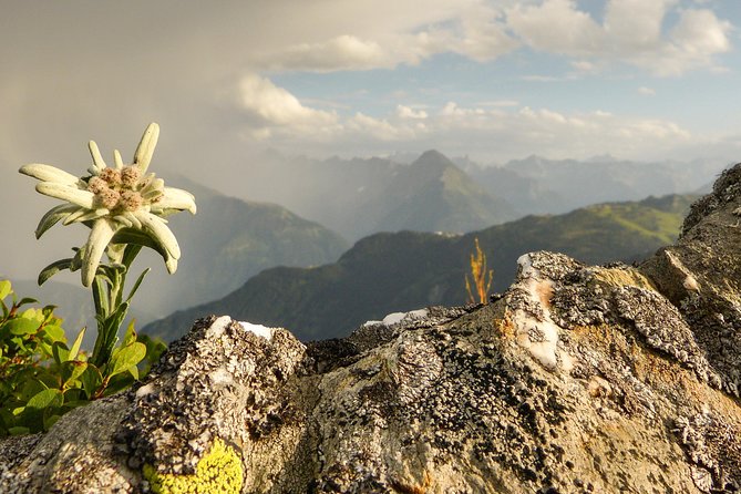 Private Eagle's Nest & The Hills are Alive - Inside Kehlsteinhaus and above the Alps