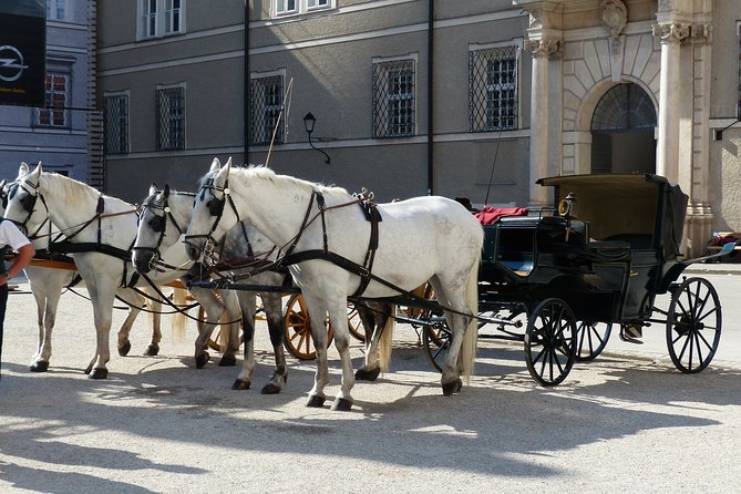 Private full day tour to Salzburg from Vienna with a local guide - St Peter’s Abbey, the cathedral, and the Archbishop’s Palace