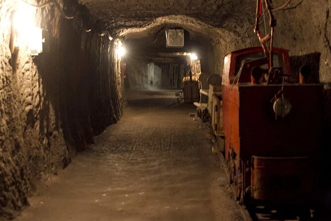 Private guided tour from Vienna to Hallstatt with Skywalk & Salt Mine Experience - Inside Salzwelten Hallstatt