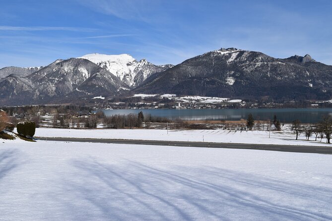 Private Hallstatt Tour with tour end in Vienna - Five Details That Matter Before You Book