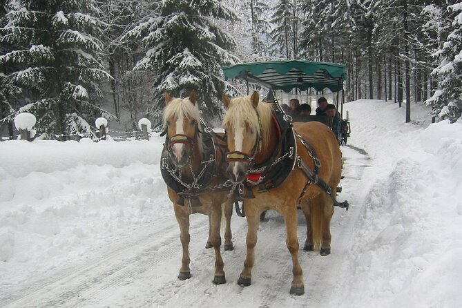 Private Horse-Drawn Sleigh Ride from Salzburg - Key points at a glance