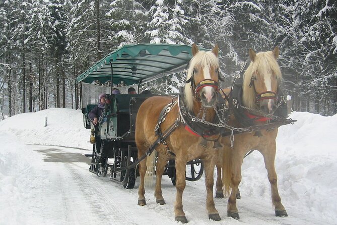 Private Horse-Drawn Sleigh Ride from Salzburg - The sleigh ride itself