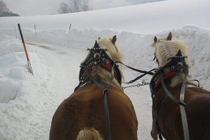 Private Horse-Drawn Sleigh Ride from Salzburg - Faistenau, St. Wolfgang, or both?