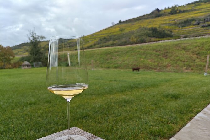 Private Luxury Wine Day: 2000 Years of Austrian Wine in Wachau - Nikolaihof, Austria’s oldest winery