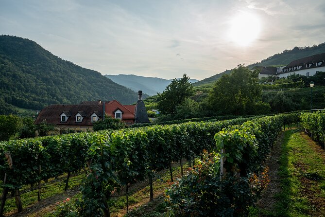 Private Luxury Wine Day: 2000 Years of Austrian Wine in Wachau - Dürnstein, the Wachau’s postcard town