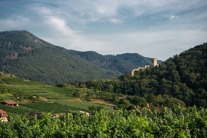 Private Luxury Wine Day: 2000 Years of Austrian Wine in Wachau - Is $640 per person good value?