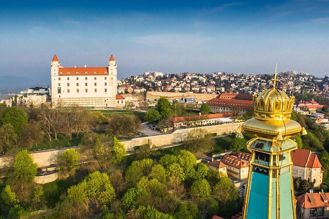 Private One Day Trip to Bratislava from Vienna - What the private guide adds