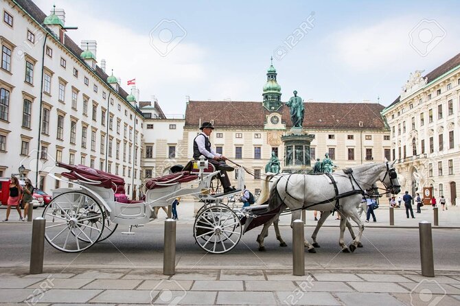 Private one way transfer from Cesky Krumlov to Vienna - The driver and the small service details
