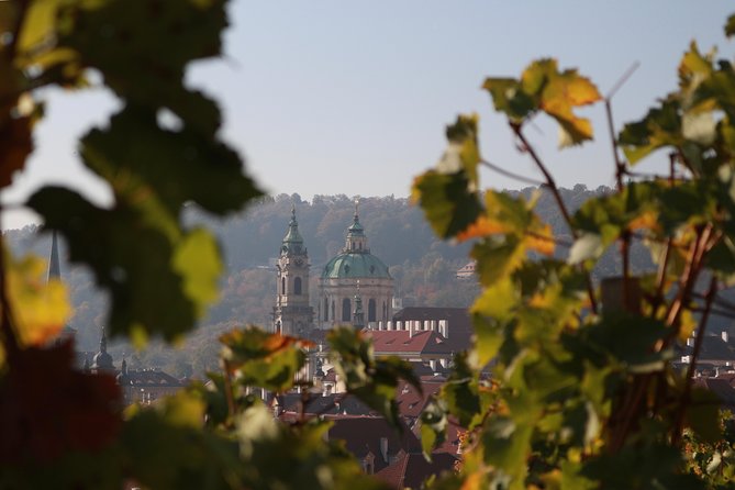 Private Scenic Transfer from Salzburg to Prague with 4h of Sightseeing - My verdict: book it for comfort and a useful travel day