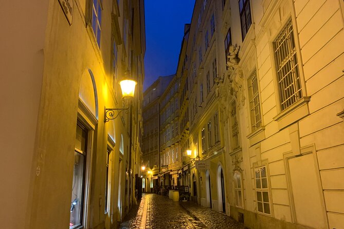 Private Spooky Vienna Ghost Tour - The Plague Column and Vienna’s fear of disease