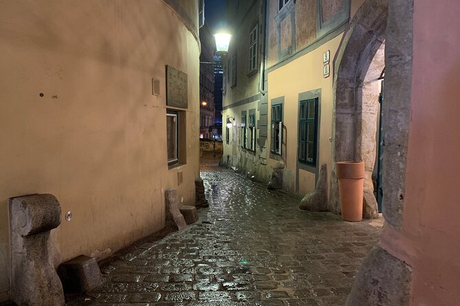 Private Spooky Vienna Ghost Tour - Augustin and Vienna’s plague musician