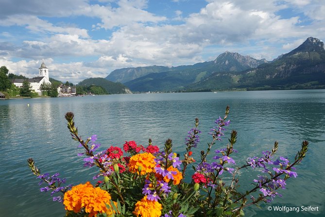 Private Tour: Austrian Lakes and Mountains Tour from Salzburg - What the private guide adds