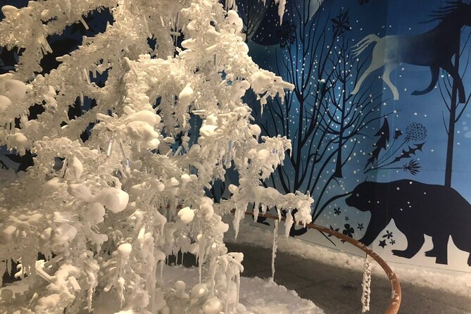Private Tour of Swarovski Crystal World from Innsbruck - Who Will Enjoy This Experience Most?