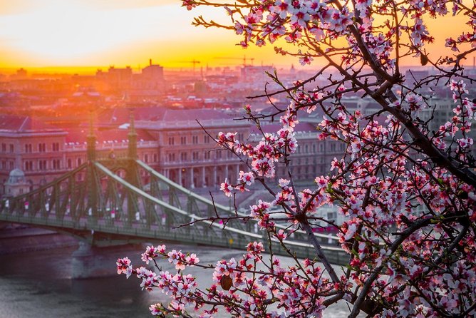 Private Transfer from Vienna to Budapest with 2 hours for sightseeing - What the Vehicle and Luggage Rules Mean