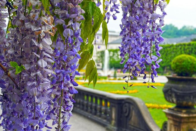 Private transfer from Vienna to Salzburg with 3h Sightseeing stop in Hallstatt - Why this route makes sense between Vienna and Salzburg