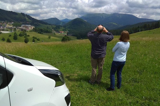 Private transfer in a Sanitized Car Prague to Vienna with 2h stop Cesky Krumlov - Is $359.03 per person good value?