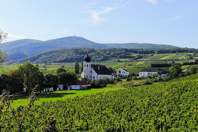 Private Vienna Woods Wine Tour - Leaving Vienna by Train at Wien Mitte