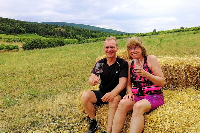 Private Vienna Woods Wine Tour - Winter in the Thermal Region