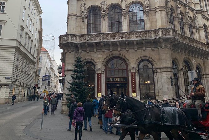 Private World War II Walking Tour in Vienna - Guides who make the difference