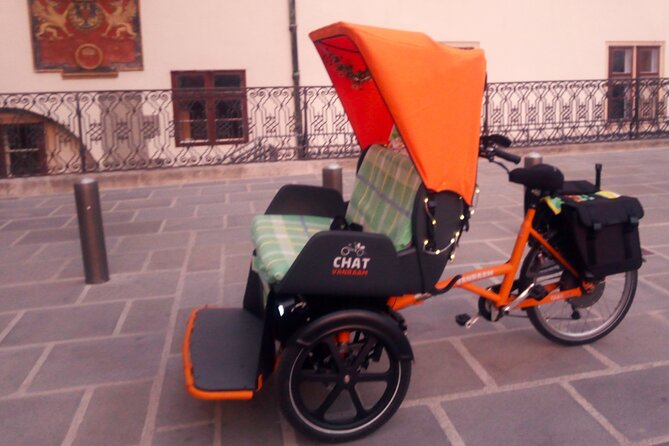 RAXI (E-Rickschaw) big private Vienna tour - Commentary, comfort, and the feel of the ride