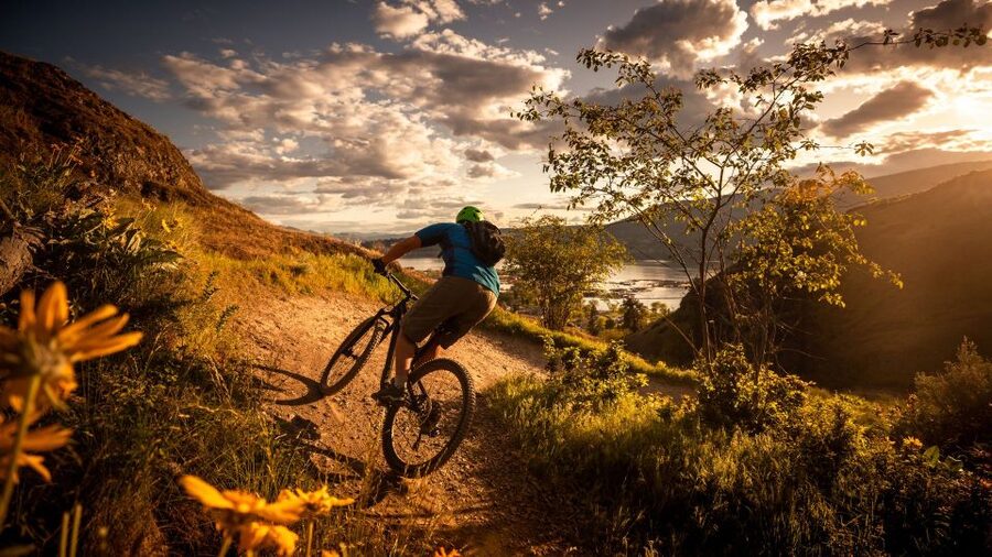 Salzburg: City and Countryside Mountain Bike Tour - What the guide adds to the day