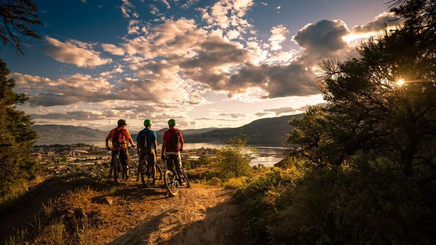 Salzburg: City and Countryside Mountain Bike Tour - Who will enjoy this Salzburg bike tour?