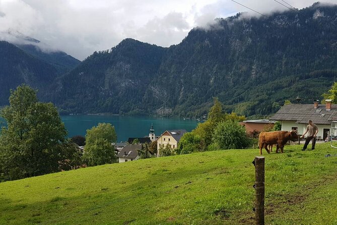 Salzburg: Small-Group Day Trip from Vienna - Lake Attersee: a short stop with a big view