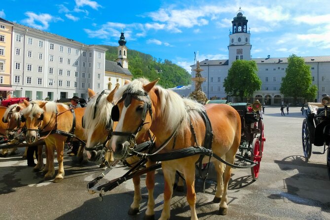 Salzburg: Small-Group Day Trip from Vienna - Through the Vienna Woods and past Melk Abbey