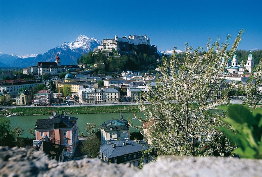 Salzburg: Sound of Music Private Half-Day Tour - Starting In Salzburg: Mirabell Palace And The Famous Steps