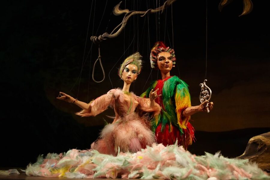 Salzburg: The Magic Flute at Marionette Theater Ticket - Practical planning for your Salzburg evening